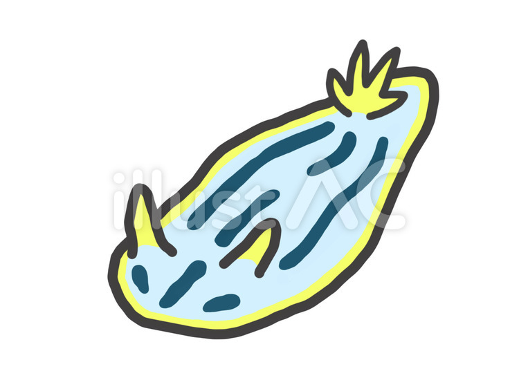 ウミウシ ウミウシ,生き物,動物のイラスト素材