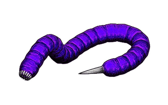 Giant death worm, JPG and PNG Giant death worm, monster, worm, earthworm, JPG and PNG