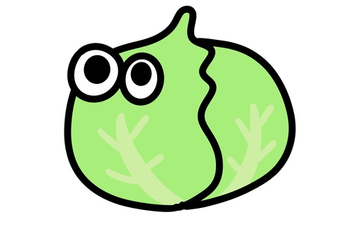 キャベツ キャベツ キャベツ,野菜,食べ物のイラスト素材