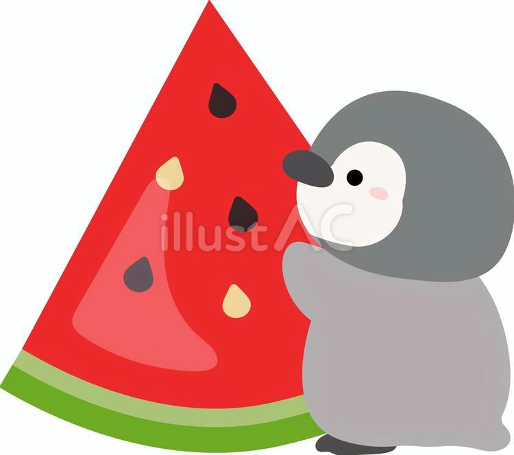 スイカとペンギンの夏のイラスト05 スイカ,夏,すいかのイラスト素材
