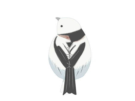 シマエナガ（振り向く・主線なし） シマエナガ,鳥,動物,北海道,白,振り向く,主線なしのイラスト素材