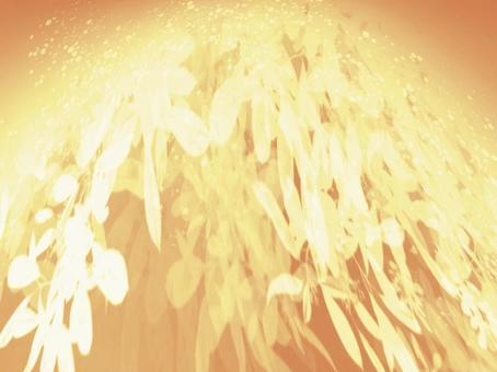 彩花の庭-イエローオレンジ02 イエロー,オレンジ,光のイラスト素材