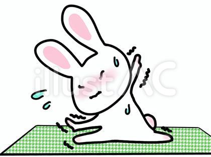 ヨガを頑張るウサギ