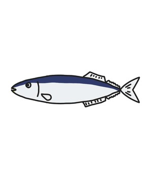 さんま 魚,秋刀魚,秋,食品,海水魚のイラスト素材