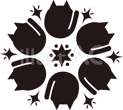 黒猫キラキラアイコン