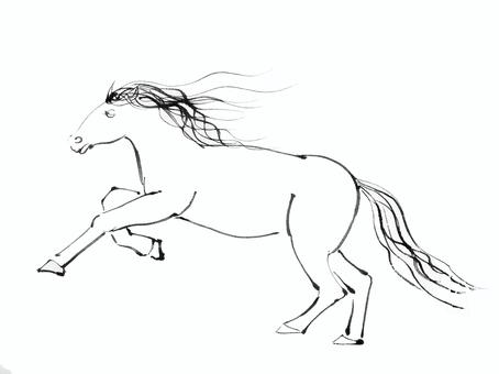 白馬の墨絵 白馬の墨絵 白馬,馬,墨絵,午,水墨画のイラスト素材