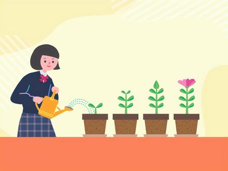 植物に水をあげる女子生徒 植物,水やり,成長,鉢植え,学校,成果,園芸部,投資,環境,勉強のイラスト素材