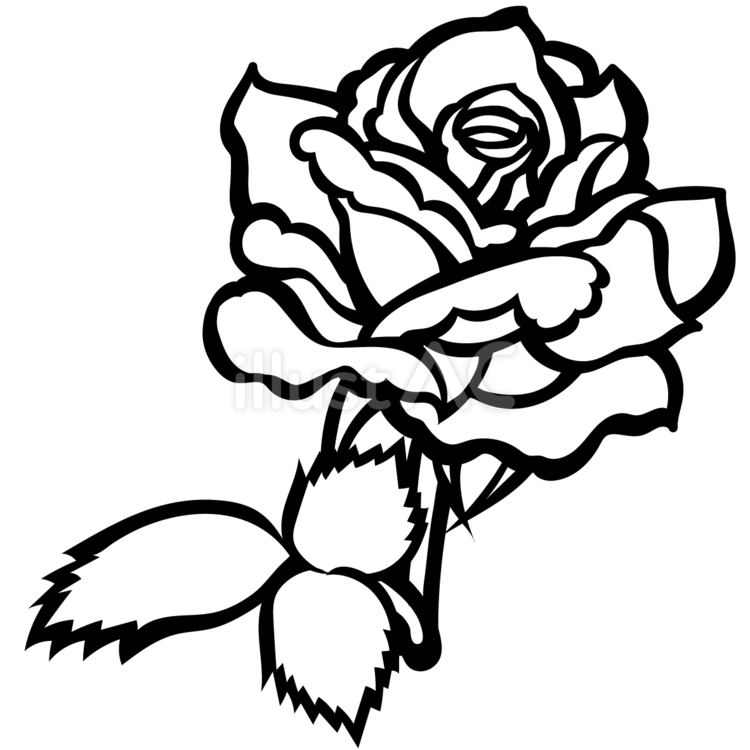 【切り絵図案】バラ バラ,花,植物のイラスト素材