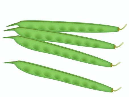 Illustration, vagens, fabáceas, legumes, 