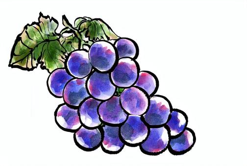 絵手紙ぶどうイラスト(ハガキサイズ) 絵手紙,かわいい,筆,ポストカード,葡萄,秋のイラスト素材