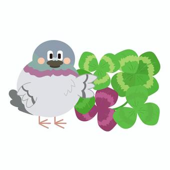 四つ葉のクローバーとハト クローバー,四つ葉,三つ葉,ハト,鳥,ペット,生き物,動物,葉,植物のイラスト素材