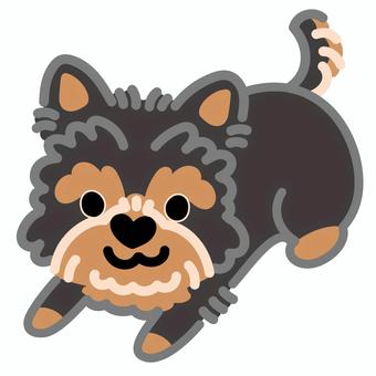 ハート鼻のヨークシャーテリア（ふせ）3 ヨークシャーテリア,犬,動物,ハート,鼻,ふせ,シンプル,かわいい,キュート,デフォルメのイラスト素材