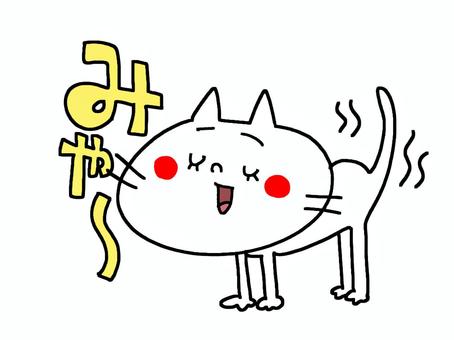 Crying cat, , JPG and PNG