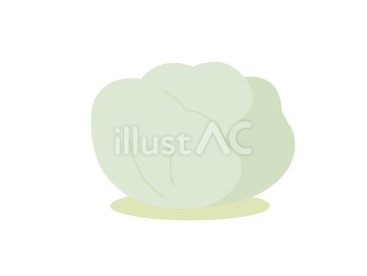 北欧風・くすみカラーのレタスイラスト レタス,野菜,北欧風のイラスト素材