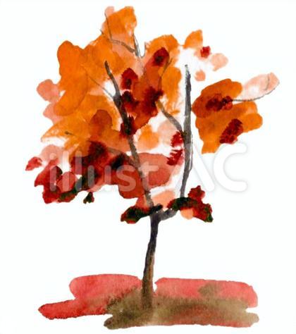紅葉の木 水彩2