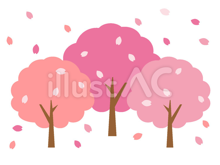 桜 桜,春,花のイラスト素材
