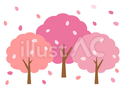 桜