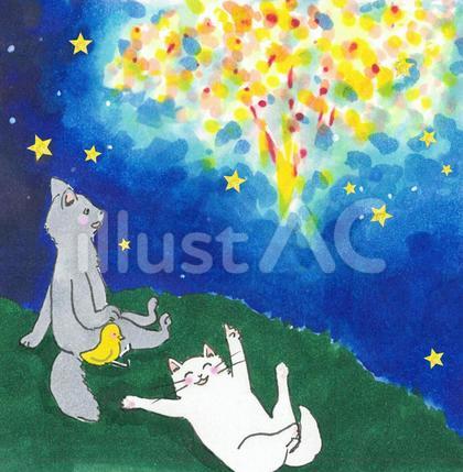 花火を眺めている猫