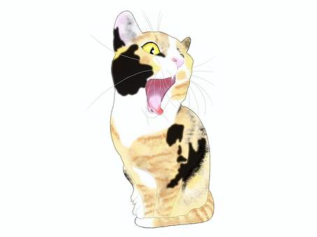 Illustration, animal, gato, pintados à mão, 