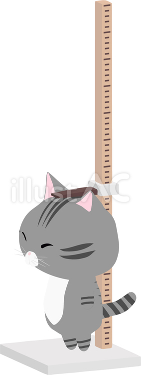 身長測定_猫_さばとら 身長測定,猫,さばとらのイラスト素材