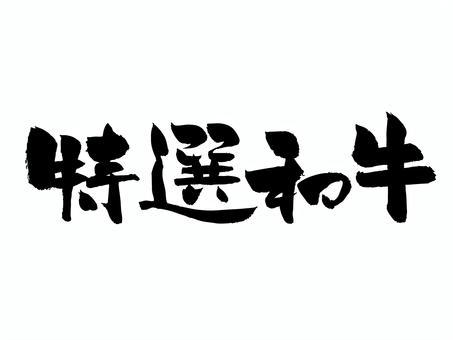 特選和牛 筆文字,文字,飾り文字,筆,手書き,手描き,デザイン,あしらい,マーク,日本語のイラスト素材