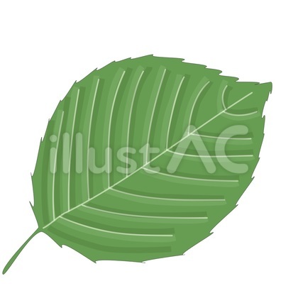 葉_Leaf