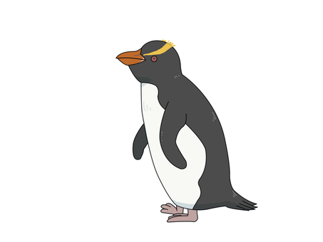 シュレーターペンギン（横向き） シュレーターペンギン,マユダチペンギン,ペンギン,ニュージーランド,横向きのイラスト素材