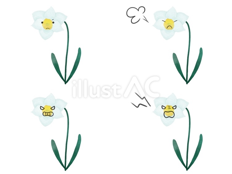 花のキャラの表情セット　怒　スイセン スイセン,花,キャラクターのイラスト素材