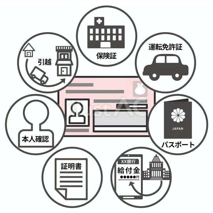 マイナンバーカードでできること-グレイ マイナンバーカード,シンプル,保険証のイラスト素材