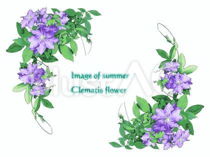 夏色の花イメージ