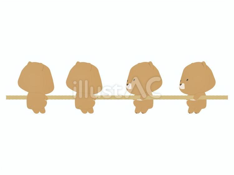 綱引きをする茶色い熊 綱引き,クマ,動物のイラスト素材