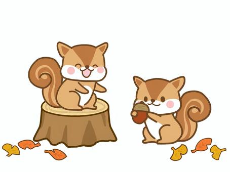 仲良くどんぐりを分け合うりす りす,どんぐり,落ち葉,枯葉,イチョウ,秋,手書き,可愛い,ゆるい,イメージのイラスト素材