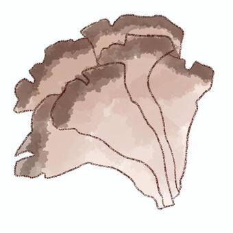 まいたけ まいたけ,食べ物,食材,水彩,鉛筆,きのこのイラスト素材