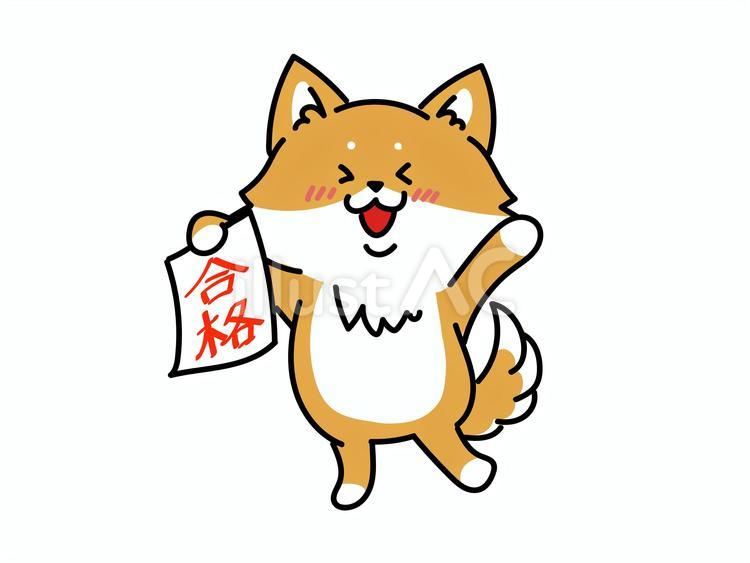 合格おめでとう！柴犬さん 柴犬,合格,勉強のイラスト素材