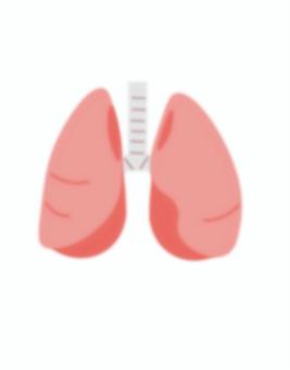肺 肺,人体,内臓,神経,胸,臓器のイラスト素材