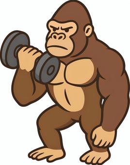 アームカールするゴリラ ゴリラ,筋トレ,ジム,ダンベル,バーベル,トレーニング,トレーニー,筋肉,ムキムキ,猿のイラスト素材
