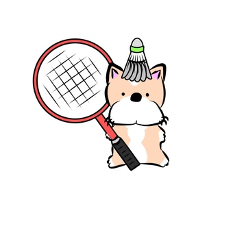 Badminton dog 2, JPG Badminton dog 2, बैडमिंटन, बैडमिंटन पंख, खेल, JPG