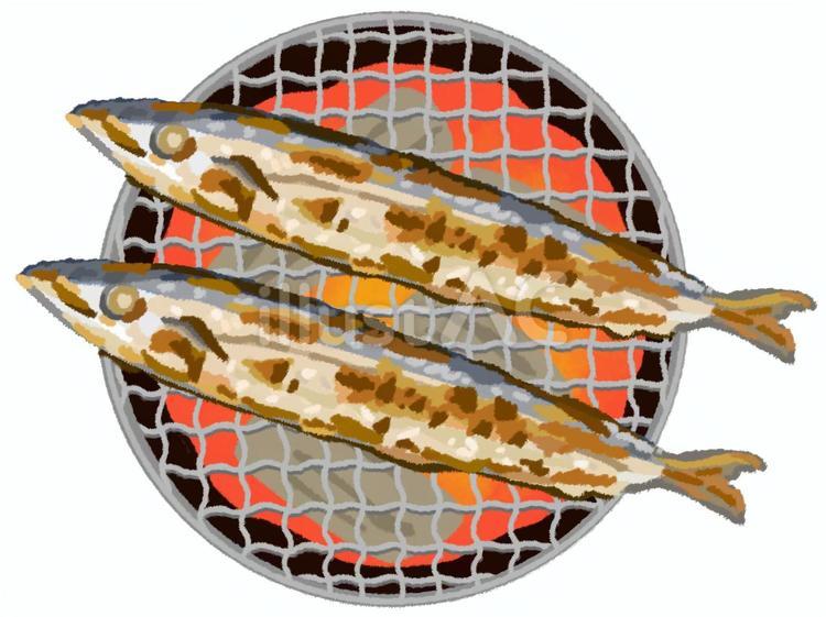 炭と炎が入った網に乗った二匹のさんま さんま,秋刀魚,網のイラスト素材