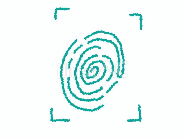 指紋 指紋,認証,指のイラスト素材