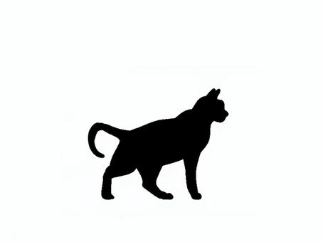 猫。。 猫。。 猫,シルエット,動物,背景透過,黒猫,イラスト,素材,透過png,アイコン,ペットのイラスト素材