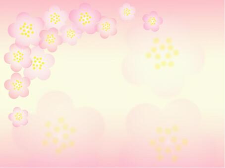 梅のフレーム_大きい花_1 梅,花,植物,かわいい,きれい,フレームのイラスト素材