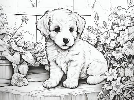 塗り絵犬 塗り絵犬 犬,塗り絵,アートのイラスト素材