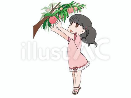 桃狩り、桃の収穫をする元気な女の子