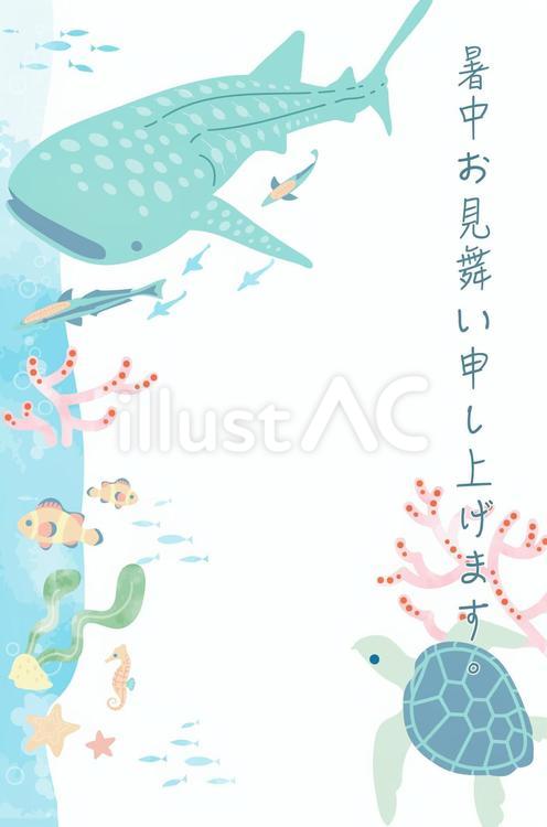 ジンベエザメとウミガメの夏のお便り素材 暑中見舞い,暑中お見舞い,挨拶のイラスト素材