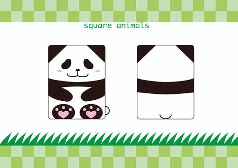 square animals panda square animals panda パンダ,動物,動物園のイラスト素材