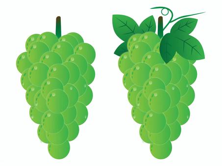 ぶどう＿マスカット ぶどう,ブドウ,葡萄,マスカット,シャインマスカット,果物,果実,フルーツ,食べ物,葉のイラスト素材