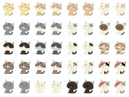 座っている猫のセット 座っている猫のセット 座る,猫,セット,動物,かわいい,リラックス,ちゃとら,さばとら,はちわれ,きじとらのイラスト素材