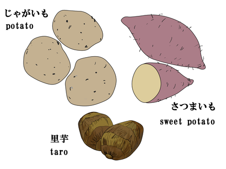 いも類 じゃがいも,さつまいも,里芋,ポテト,芋類,いも,芋,さといも,サトイモ,サツマイモのイラスト素材