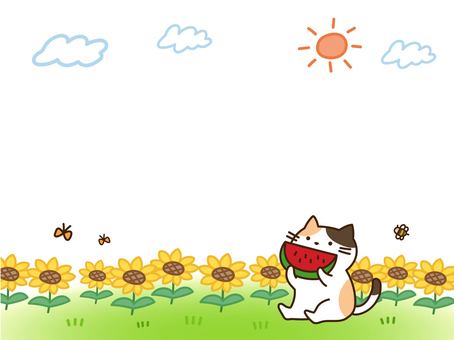猫と向日葵のかわいい夏フレーム 夏,フレーム,動物,猫,ひまわり,かわいい,8月,緑,子供向け,向日葵のイラスト素材