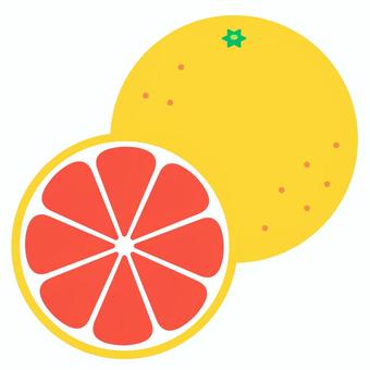 ピンクグレープフルーツ_断面_前 ピンクグレープフルーツ,グレープフルーツ,断面,果物,皮,酸っぱい,アイコン,シンプル,かわいい,背景透過のイラスト素材